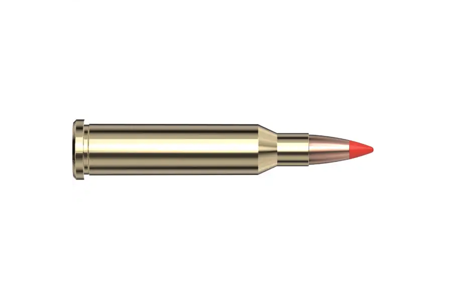 .17 Hornet Review: Small Cartridge, Serious Varmint Performance